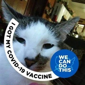 Meet your Posher, Ruth